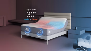 Climate360 Bed